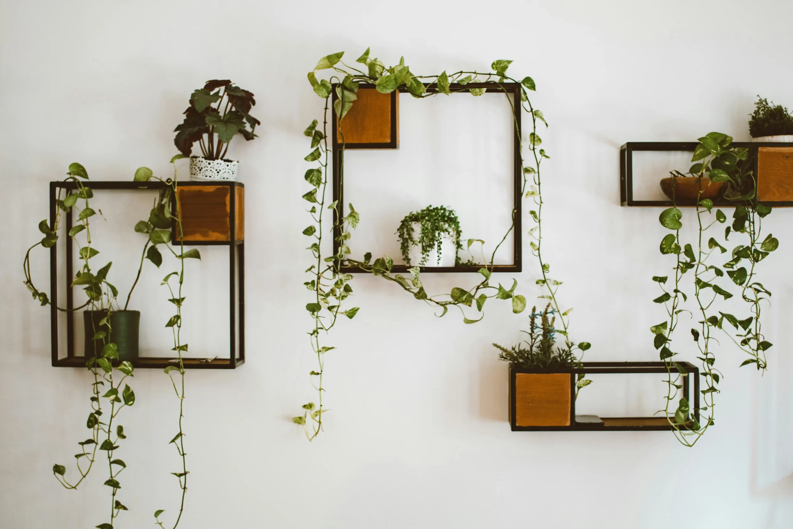 home decor