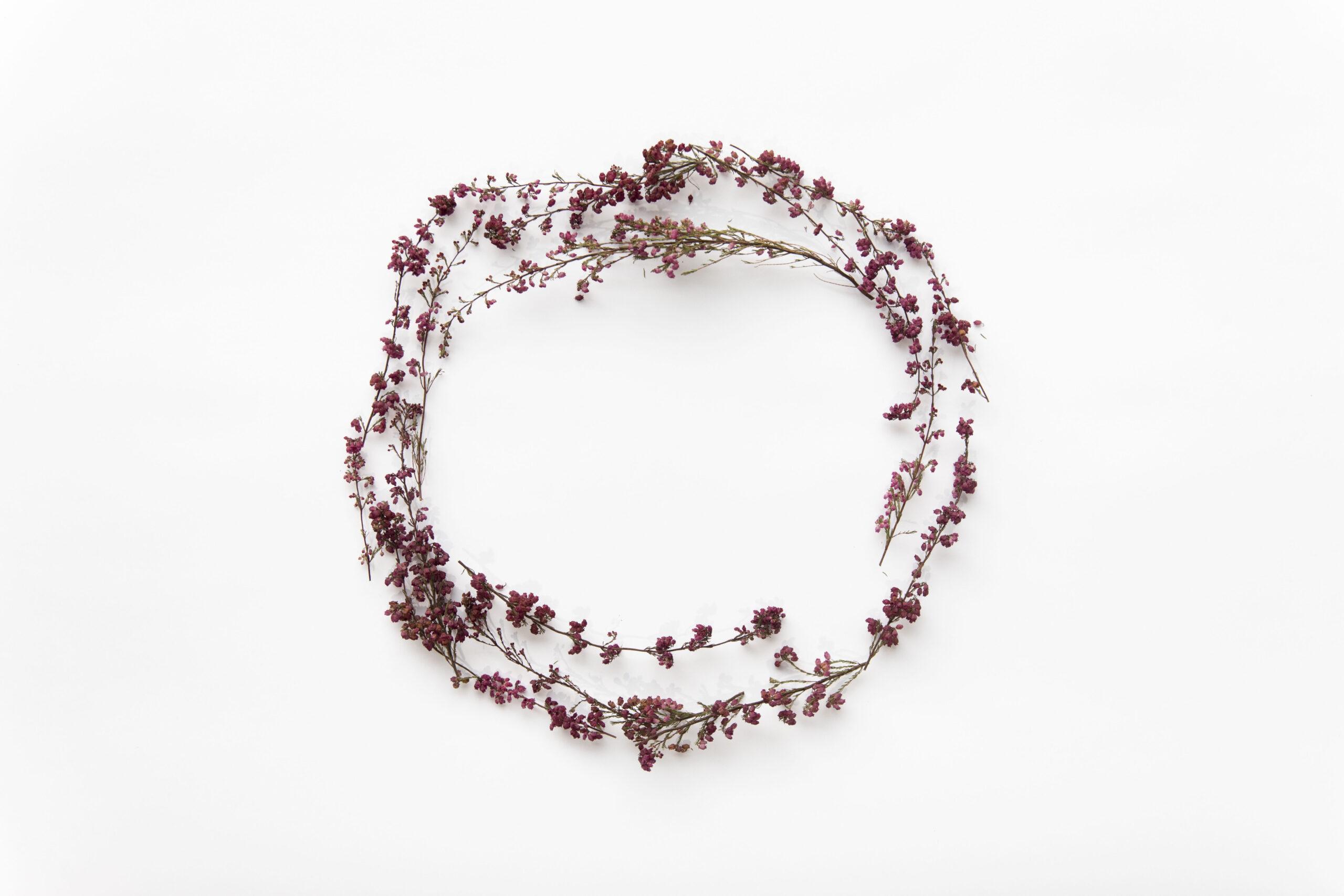 You are currently viewing Dried flower wreath: Shop our top picks for modern homes