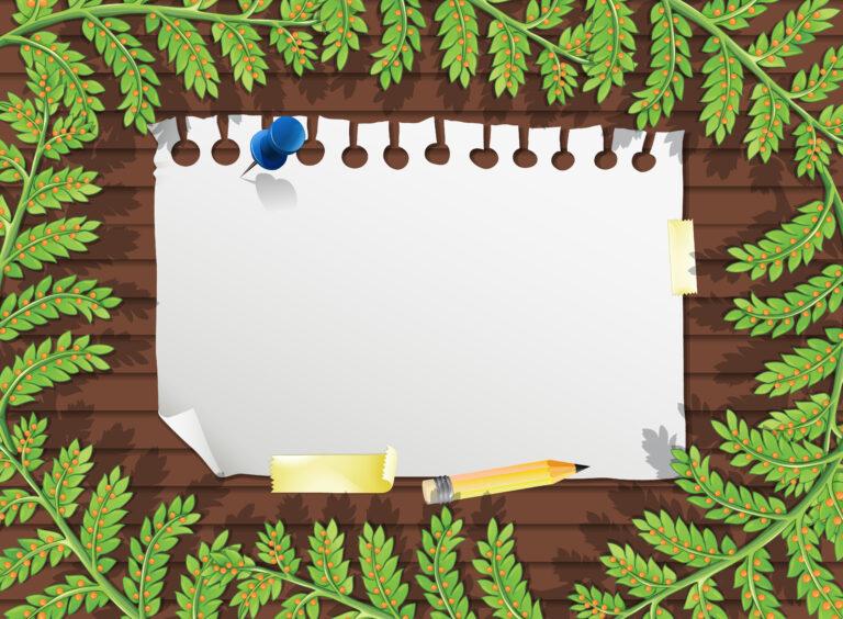Read more about the article Where to Buy Premium Bulletin Board Decorations in NYC