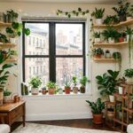 Indoor Plant Ideas for Small Apartments NYC